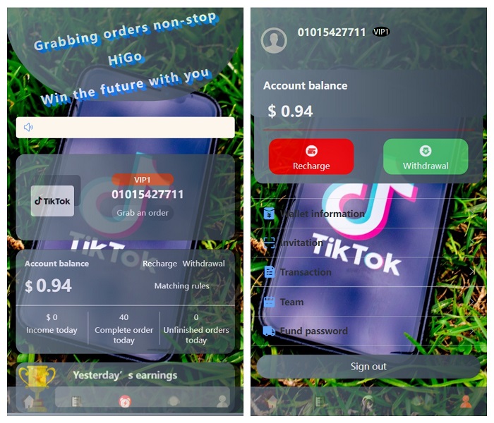 新版本海外tiktok多语言抢单系统源码插图1
