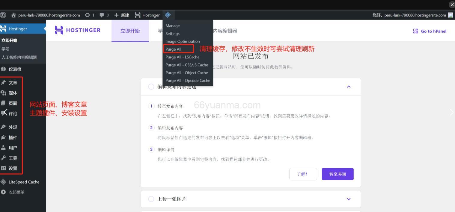 快速搭建 WordPress 外贸电商网站指南插图2