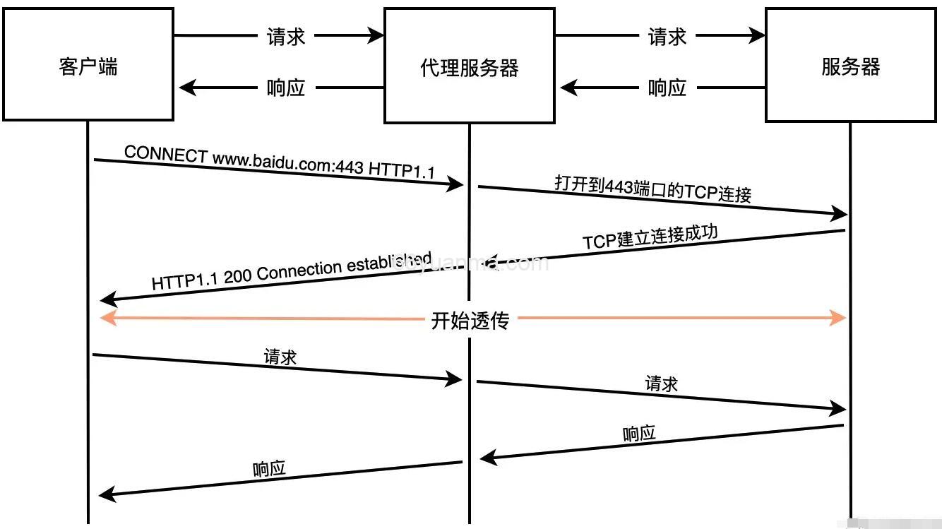 说一下 HTTP 代理 正向代理和反向代理插图1