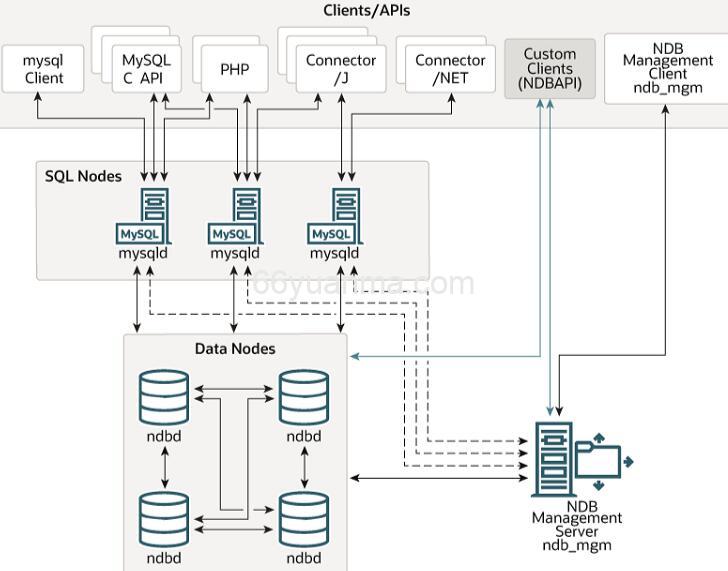 TOA/TA字段增强、模板标签管理与PDF导出优化
