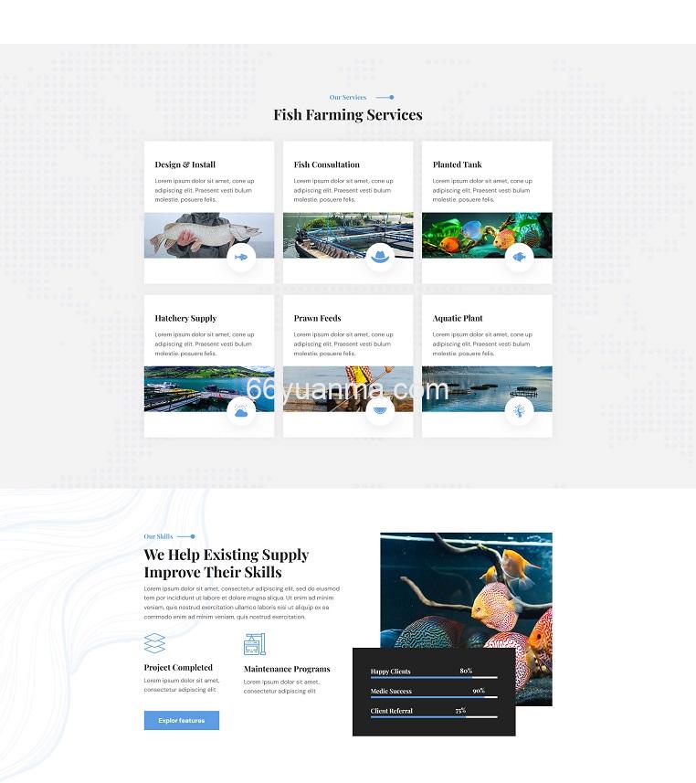 鱼类养殖技术服务公司网站HTML5模板源码插图1