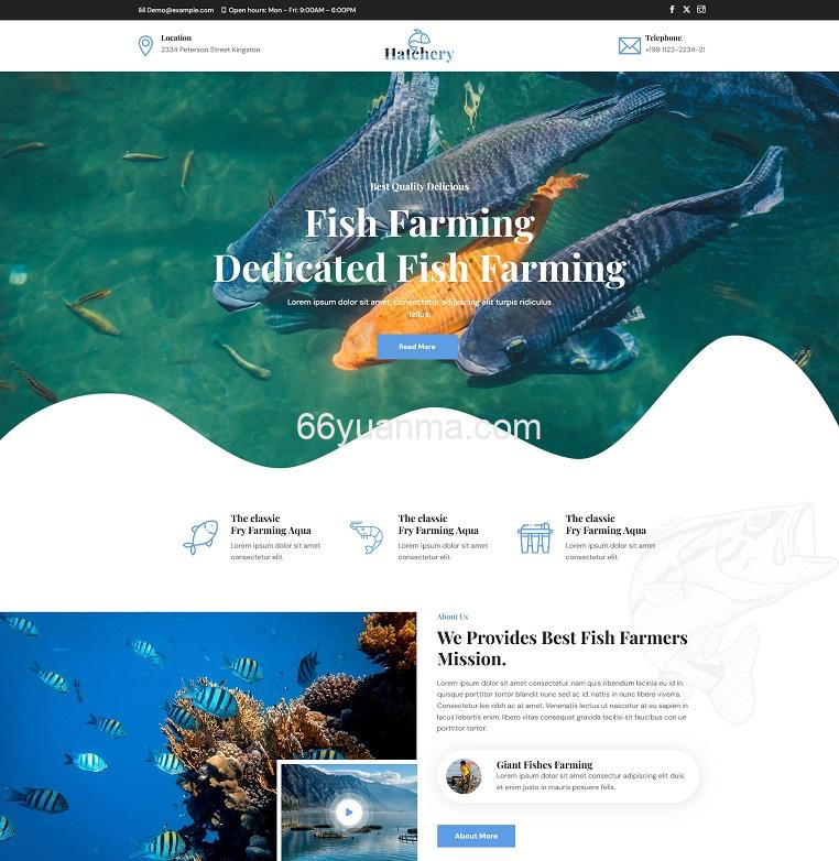 鱼类养殖技术服务公司网站HTML5模板源码插图