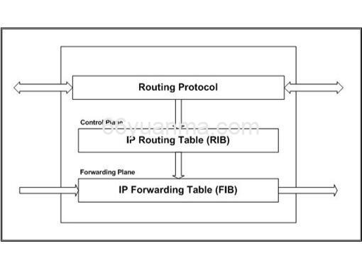 路由表 (RIB) 与转发表 (FIB)区别与联系