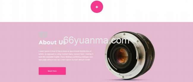 粉红色摄影工作室作品展示网站模板源码插图2